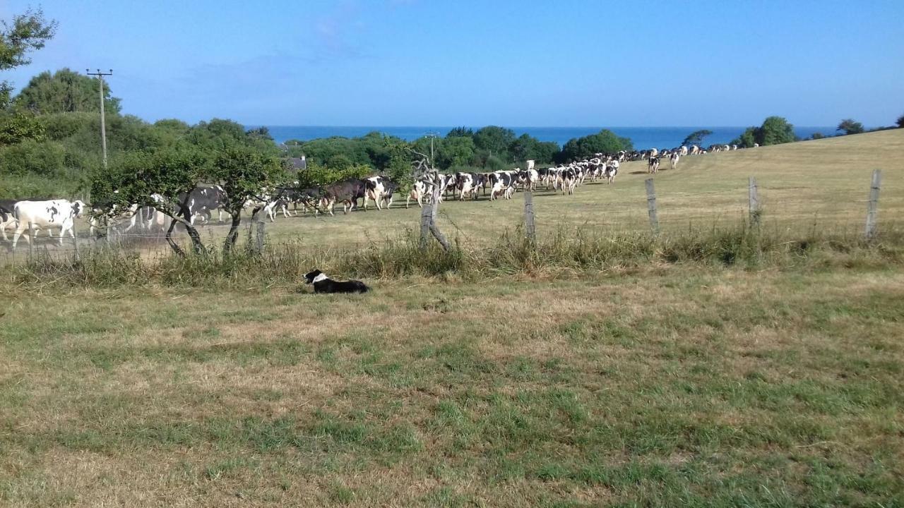 Maes Y Mor Διαμέρισμα Llanarth  Εξωτερικό φωτογραφία